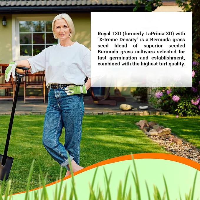 Royal TXD Bermuda Grass Seed
