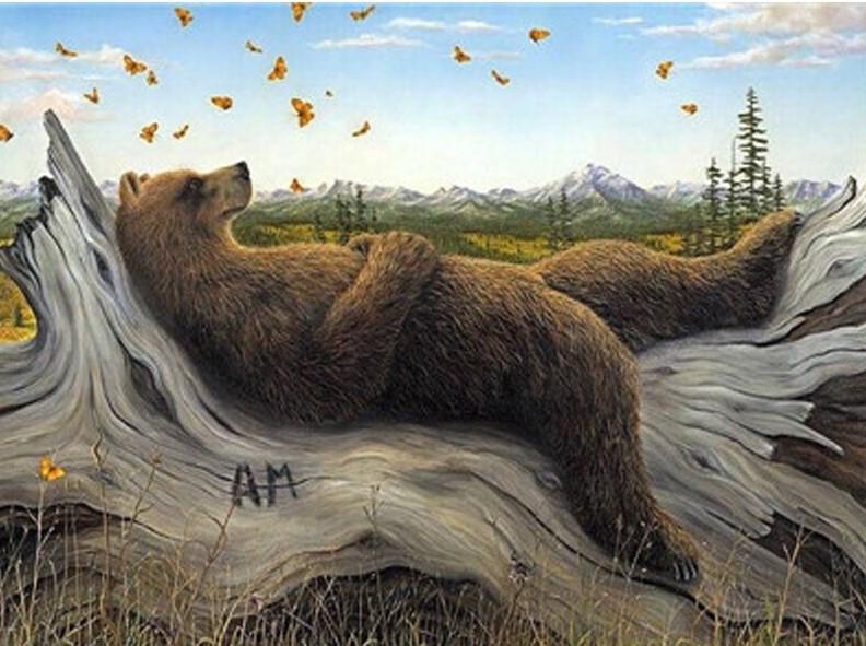 

Sleeping Bear – Paint By Numbers - 40*50CM, 501 Original