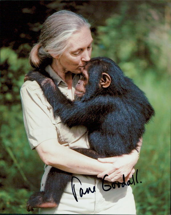 Jane Goodall signed 8x10 Photo Poster painting