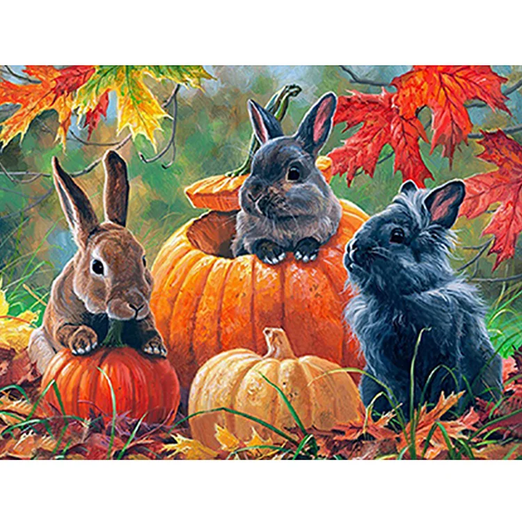 Pumpkin Bunny - Painting By Numbers - 40*30CM gbfke