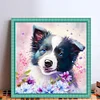 Border Collie Dog-11CT Stamped Cross Stitch 40*40cm