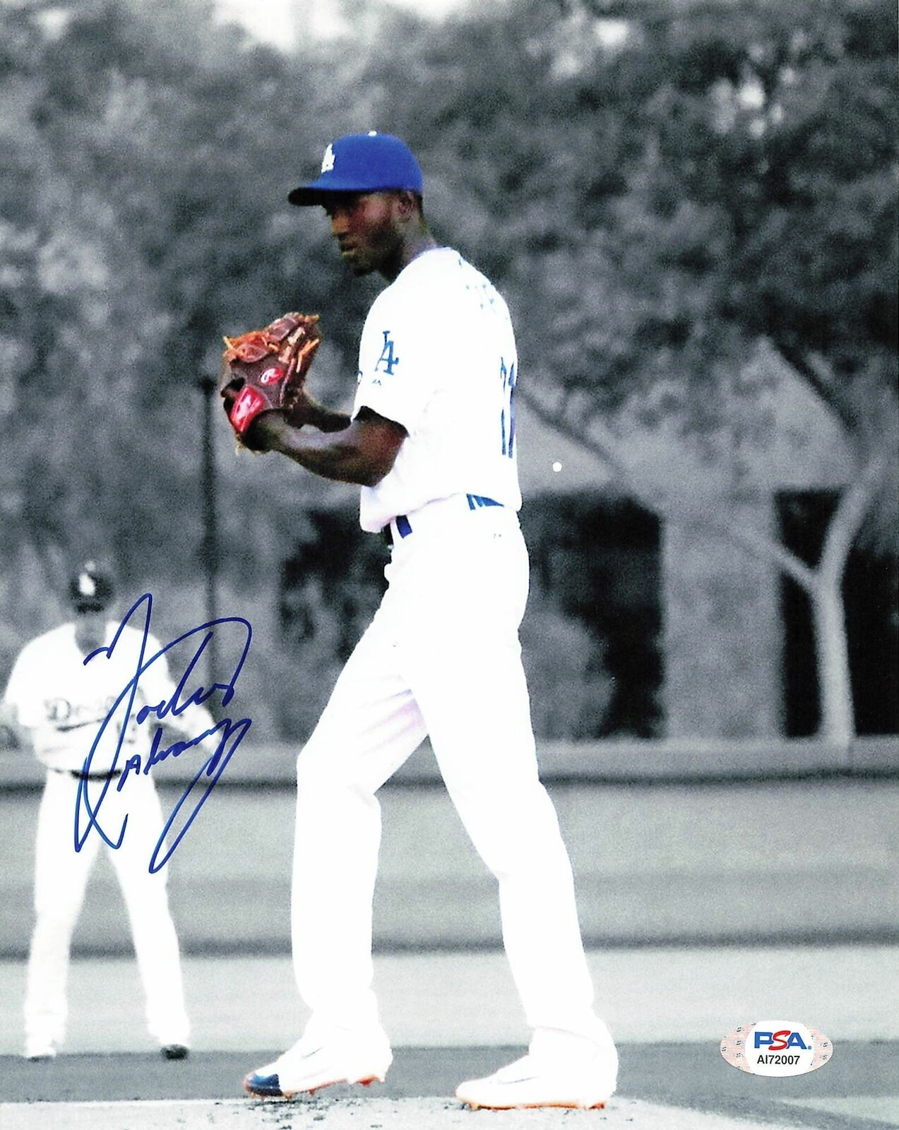 YADIER ALVAREZ signed 8x10 Photo Poster painting PSA/DNA Los Angeles Dodgers Autographed