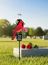 Solar Cardinal Memorial Stakes with LED Light Grave Memorial Plaque Stake Weatherproof Easy To Install Sympathy Gift for Loss of Mother Mom Grandma