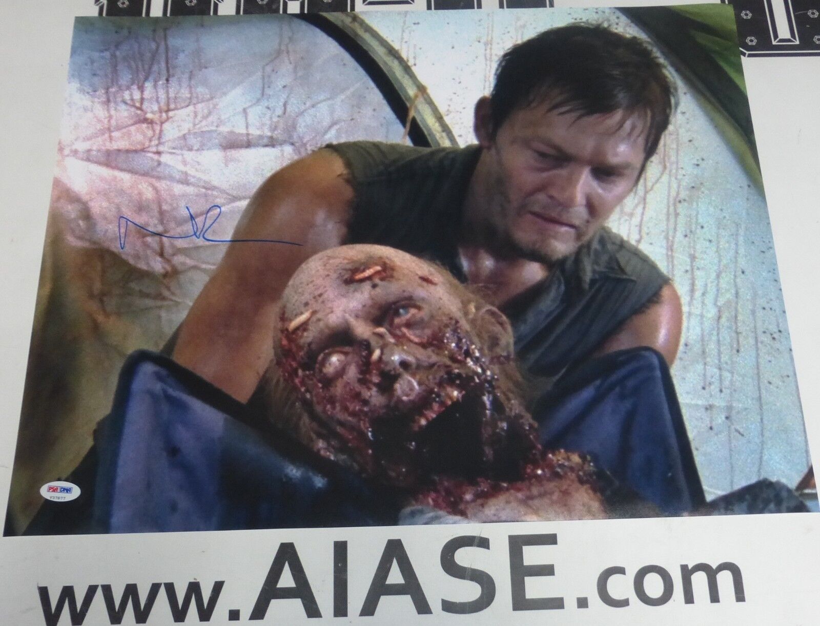 Norman Reedus Signed The Walking Dead 16x20 Photo Poster painting PSA/DNA COA Poster Autograph 4