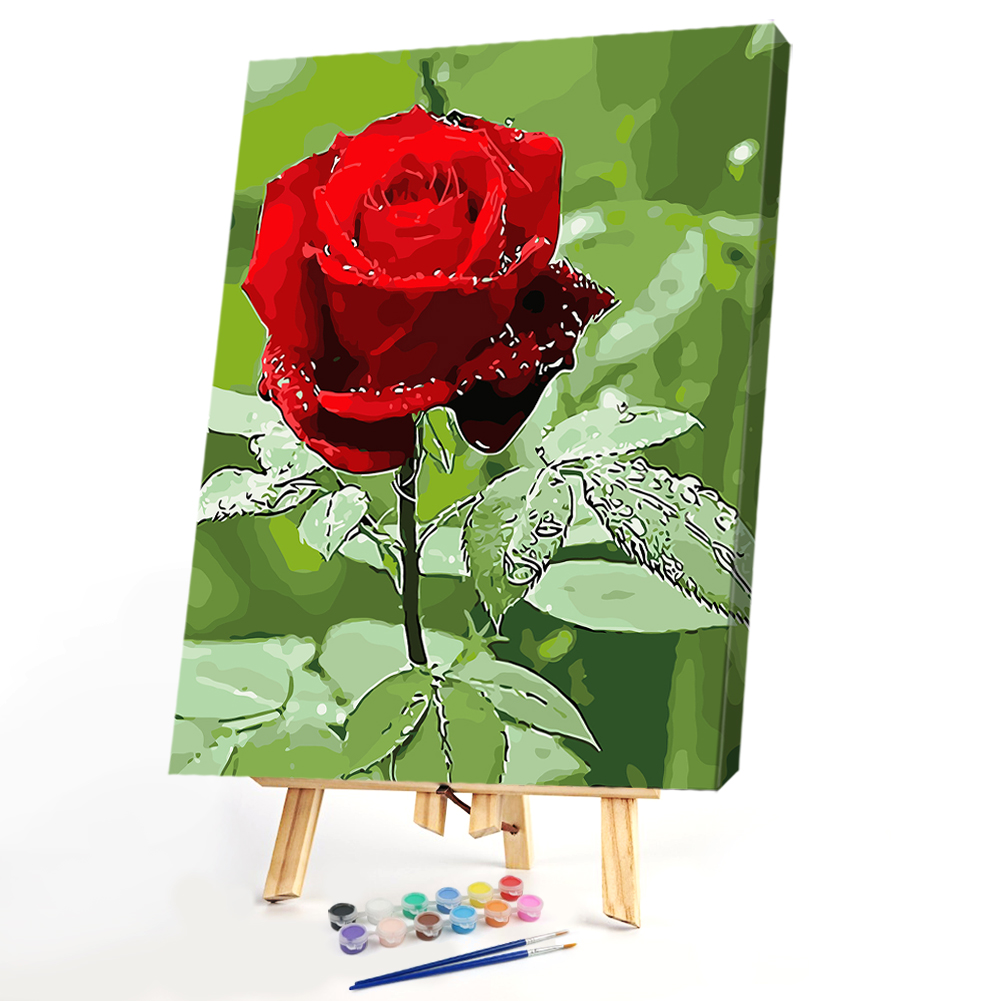 

40*50cm - Paint By Numbers - Red Rose, 501 Original