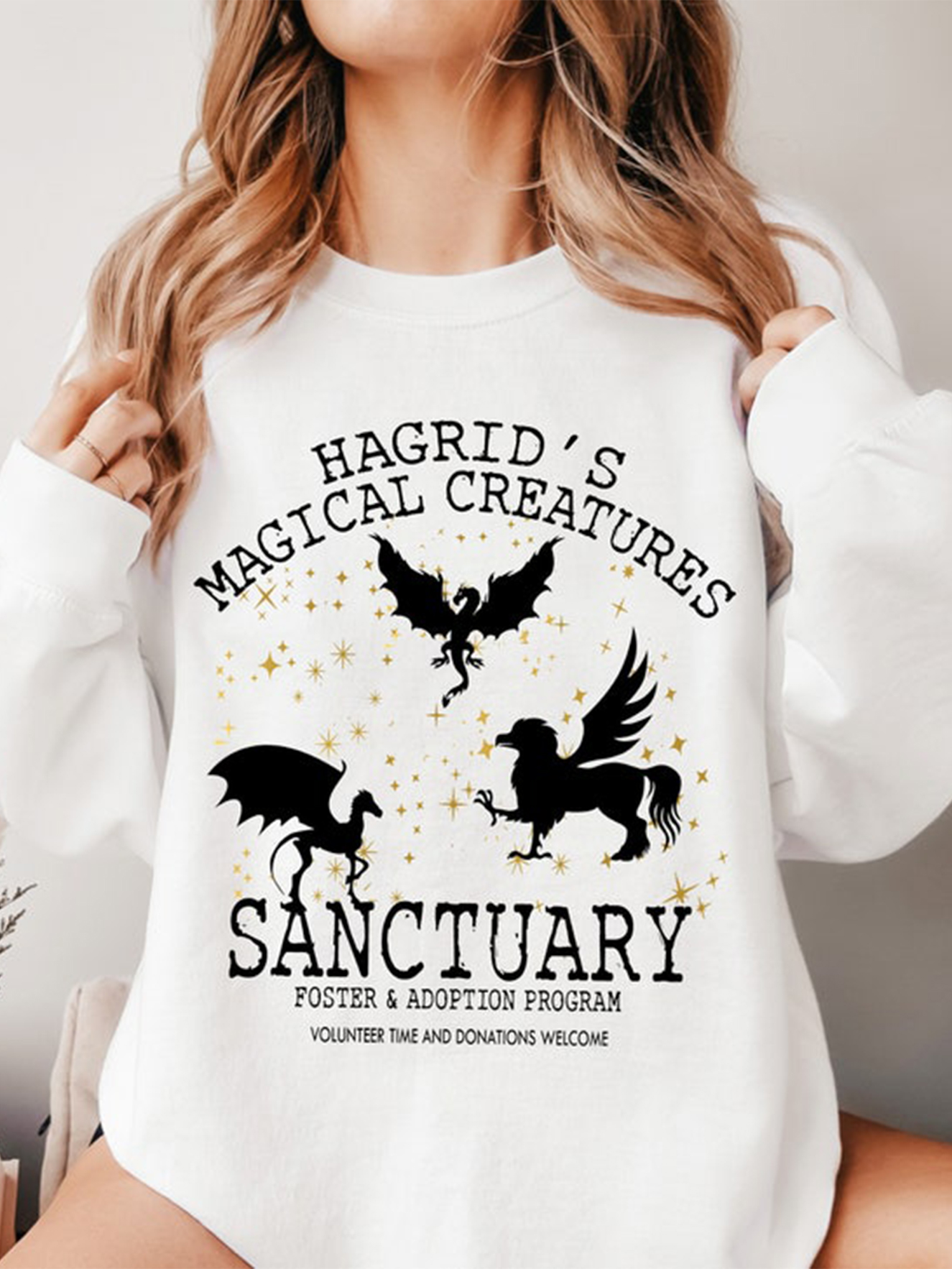 Hogwarts House Sweatshirt