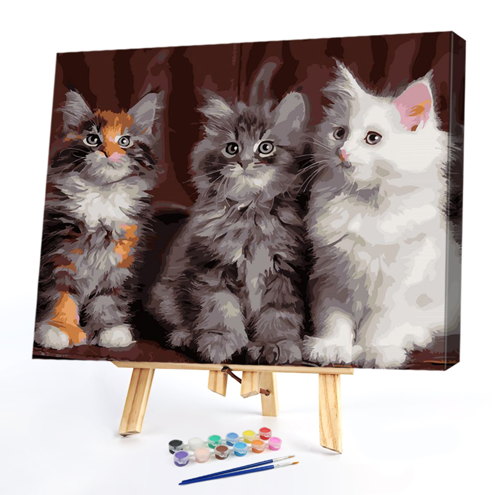

40x50cm - Paint By Numbers Cat, 501 Original