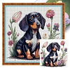 Dachshund - 11CT Stamped Cross Stitch - 40*40cm - Dog