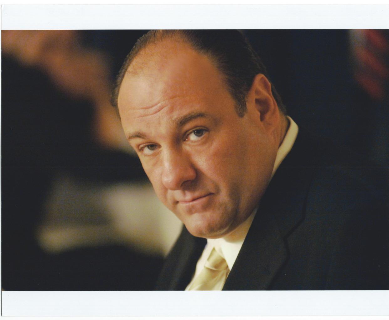 James Gandolfini 8x10 Picture Simply Stunning Photo Poster painting Gorgeous Celebrity #1