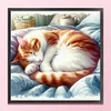 (Stamped/Counted) Cat Sleeping In A Ball-11CT Cross Stitch 40*40cm/15.75*15.75in