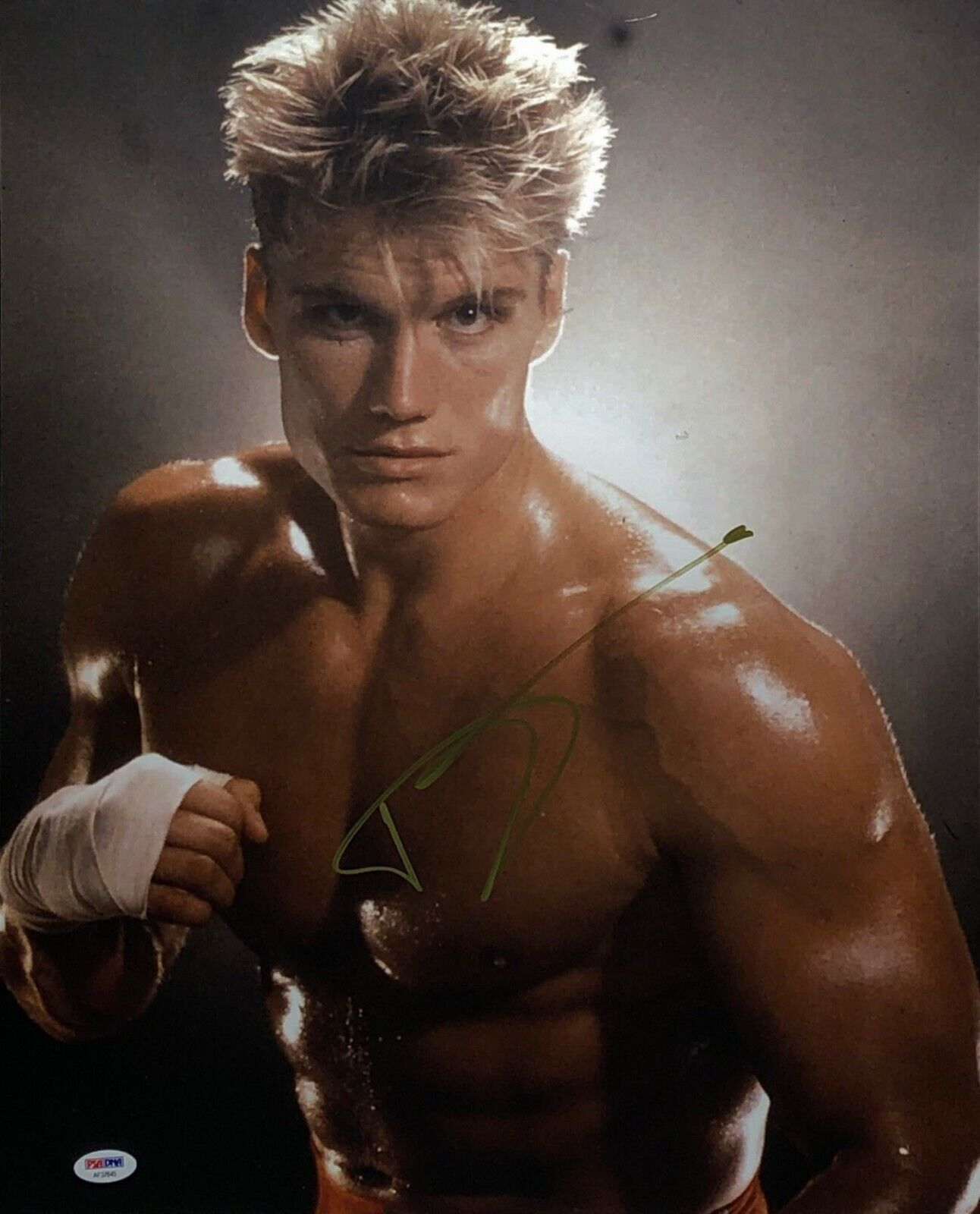 Dolph Lundgren Signed 'Rocky' 16x20 Photo Poster painting *Drago PSA AF37645