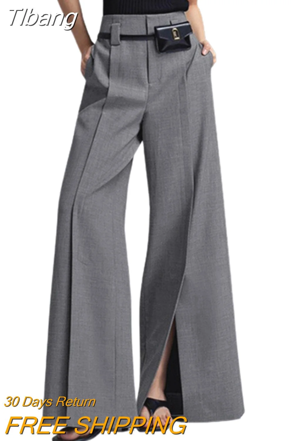 Tlbang Female Korean Fashion Split-Front Pleated Wide Leg Pants 2023 Spring Autumn High Waisted Grey Trousers For Office Lady