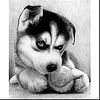 Cute Dog  | Full Round Diamond Painting Kits