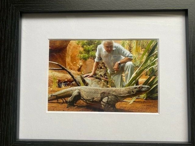 David Attenborough Hand Signed Framed Photo Poster paintinggraph C/w COA