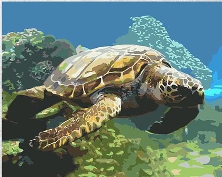 

Sea Turtle Swims – Paint By Numbers - 40*50CM, 501 Original