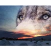 Wolf  | Full Round Diamond Painting Kits