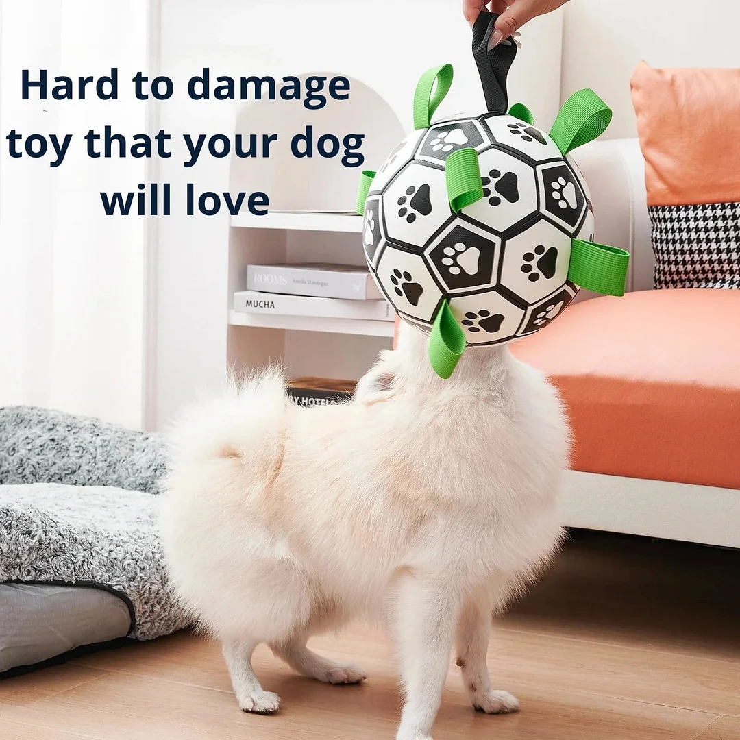 PawKick Doggy Soccer Ball &ndash; Hot Sale 50% Off