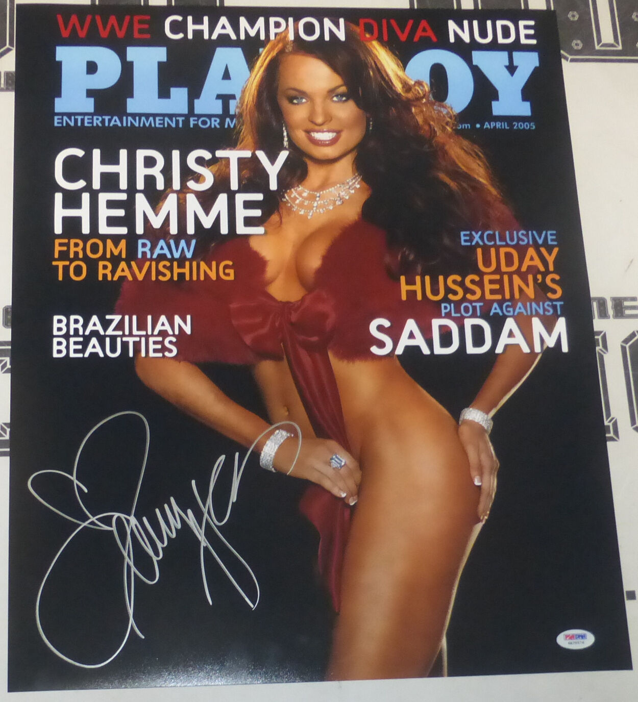 Christy Hemme Signed WWE Playboy 16x20 Photo Poster painting PSA/DNA COA 2005 Magazine Poster