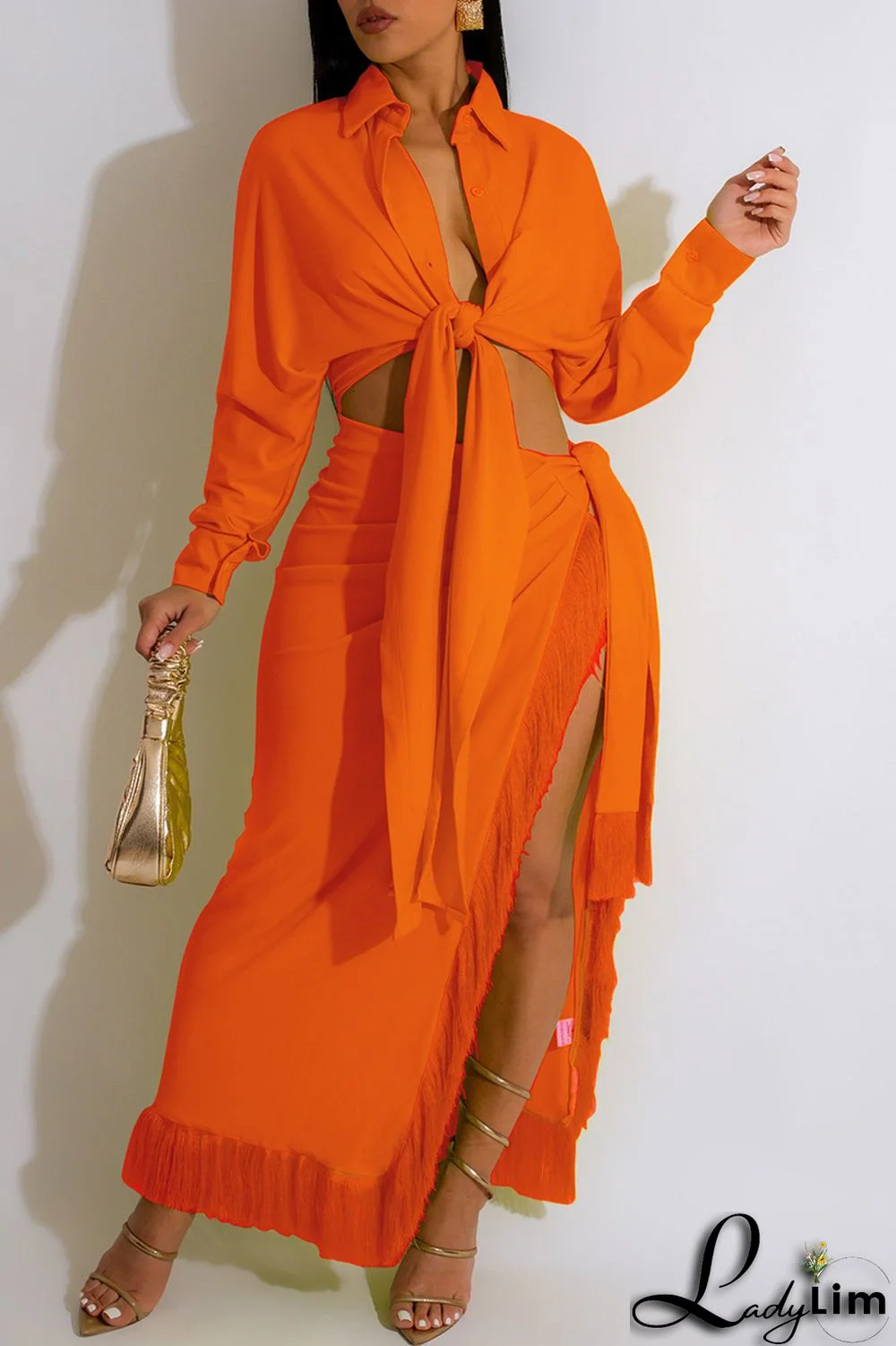 Blue Casual Solid Frenulum Slit Turndown Collar Long Sleeve Two Pieces