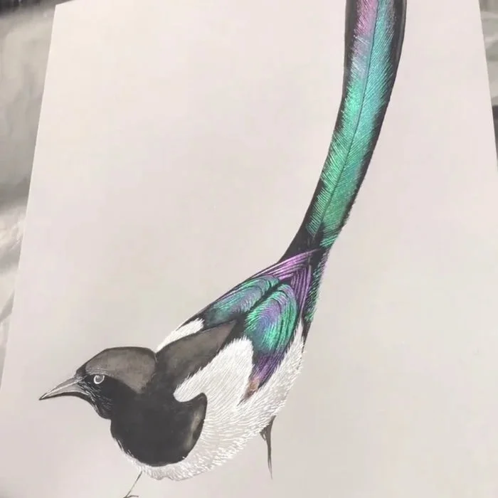  Miraclew 20 Colors Watercolor Painting Set - New Year Sale Off 50%