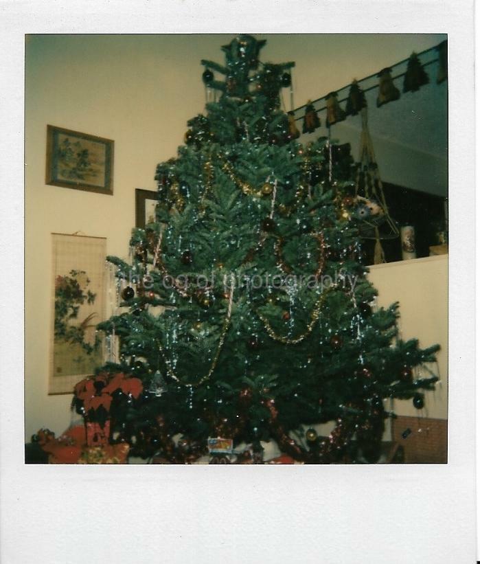 Vintage POLAROID Found Photo Poster paintinggraph CHRISTMAS TREE Original COLOR 17 2 B