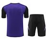 Joyfball 2024/2025 Germany short sleeved training jersey purple+Shorts  1:1 Thai Quality