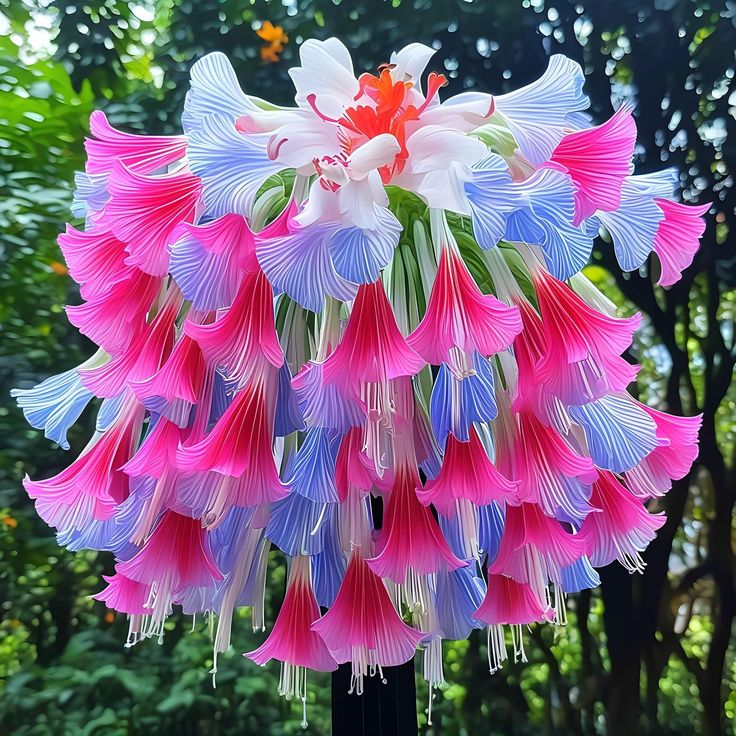 Blue+Pink+White-Giant Hanging Lobelia Seeds🌊