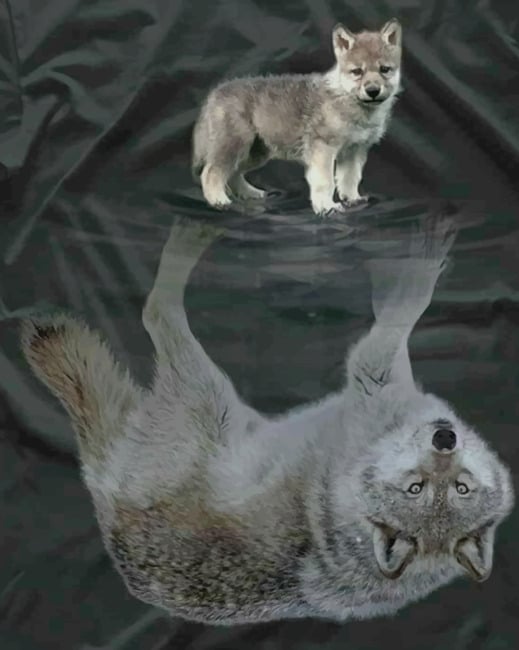 

Wolf Reflection – Paint By Numbers - 40*50CM, 501 Original