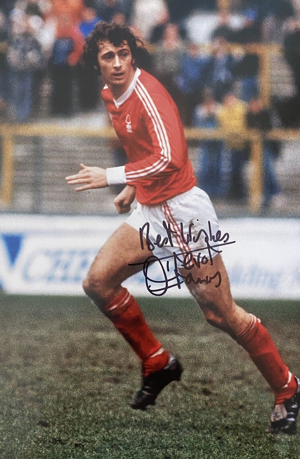 Trevor Francis Genuine Hand Signed Nottingham Forest 12x8 Photo Poster painting 3