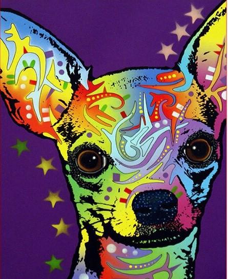 

Colorful Chihuahua Dog – Paint By Numbers - 40*50CM, 501 Original