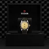 Tudor Black Bay Steel and Gold
