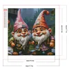 (40*40cm)Gnome - Round Partial AB Drill Diamond Painting