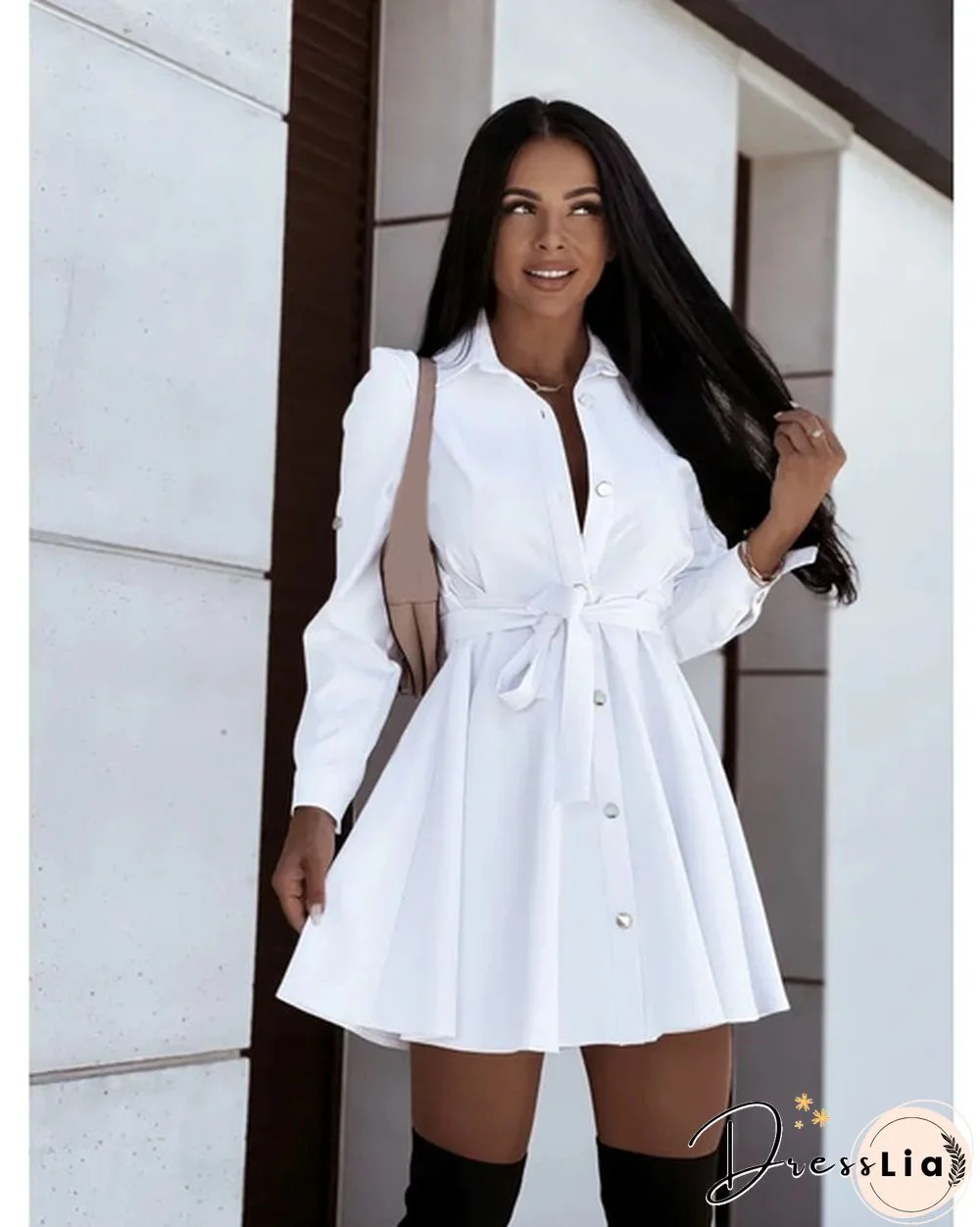 Turn-down Collar Long Sleeves Buttons Shirt Dress Women Fashion Collect Waist A Line Dress Elegant Ladies Dresses