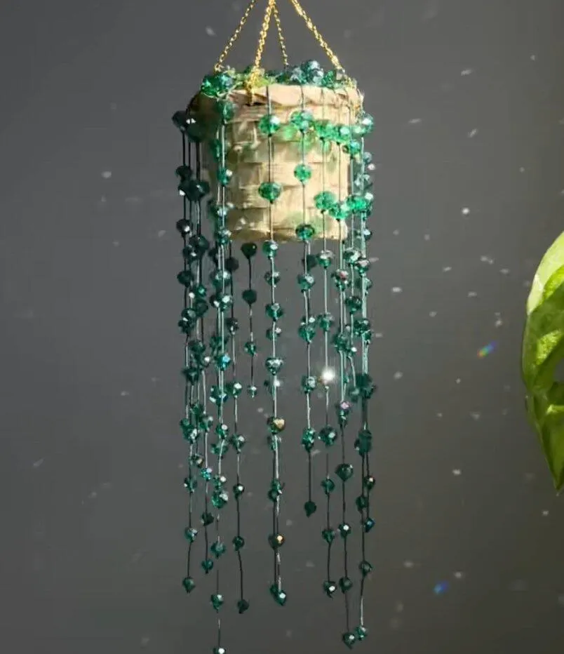 Plant suncatcher window photo note