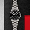 Tudor Pelagos 39