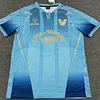 2024/2025 Venezia Third away Football Jersey 1:1 Thai Quality