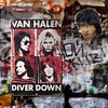 Van Halen - Vintage Metal Signs - 20*30cm/30*40cm - Music