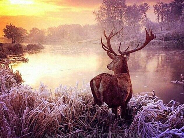 

Deer By The River – Paint By Numbers - 40*50CM, 501 Original