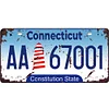 U.S. states - Car License(6*12Inch) - Garage