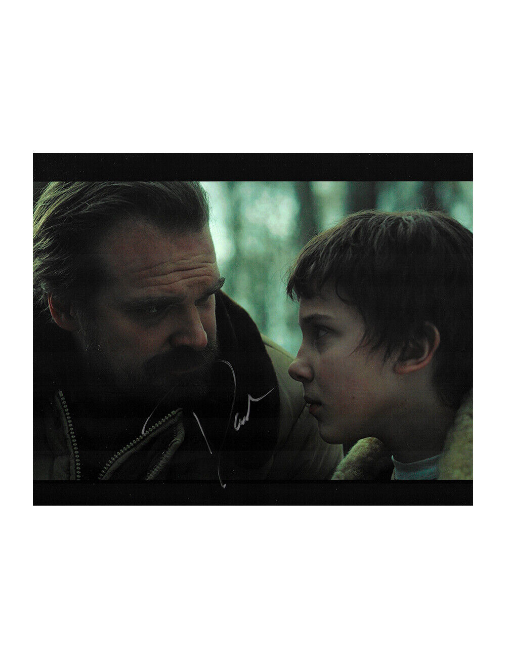 10x8 Stranger Things Print Signed by David Harbour 100% Authentic With COA