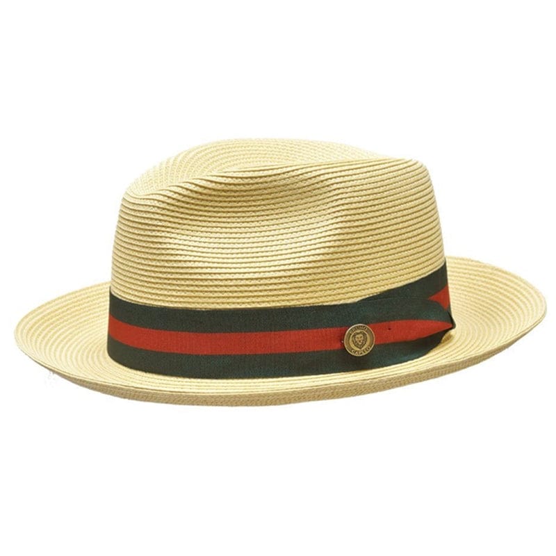 🔥Special offer 49% discount🔥Classic Panama Hat-Remo