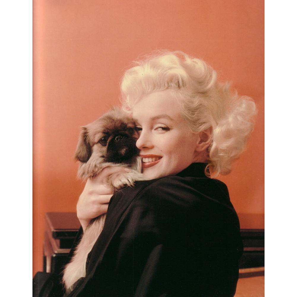 

Marilyn Monroe-Round Drill Diamond Painting-30*40CM, 501 Original