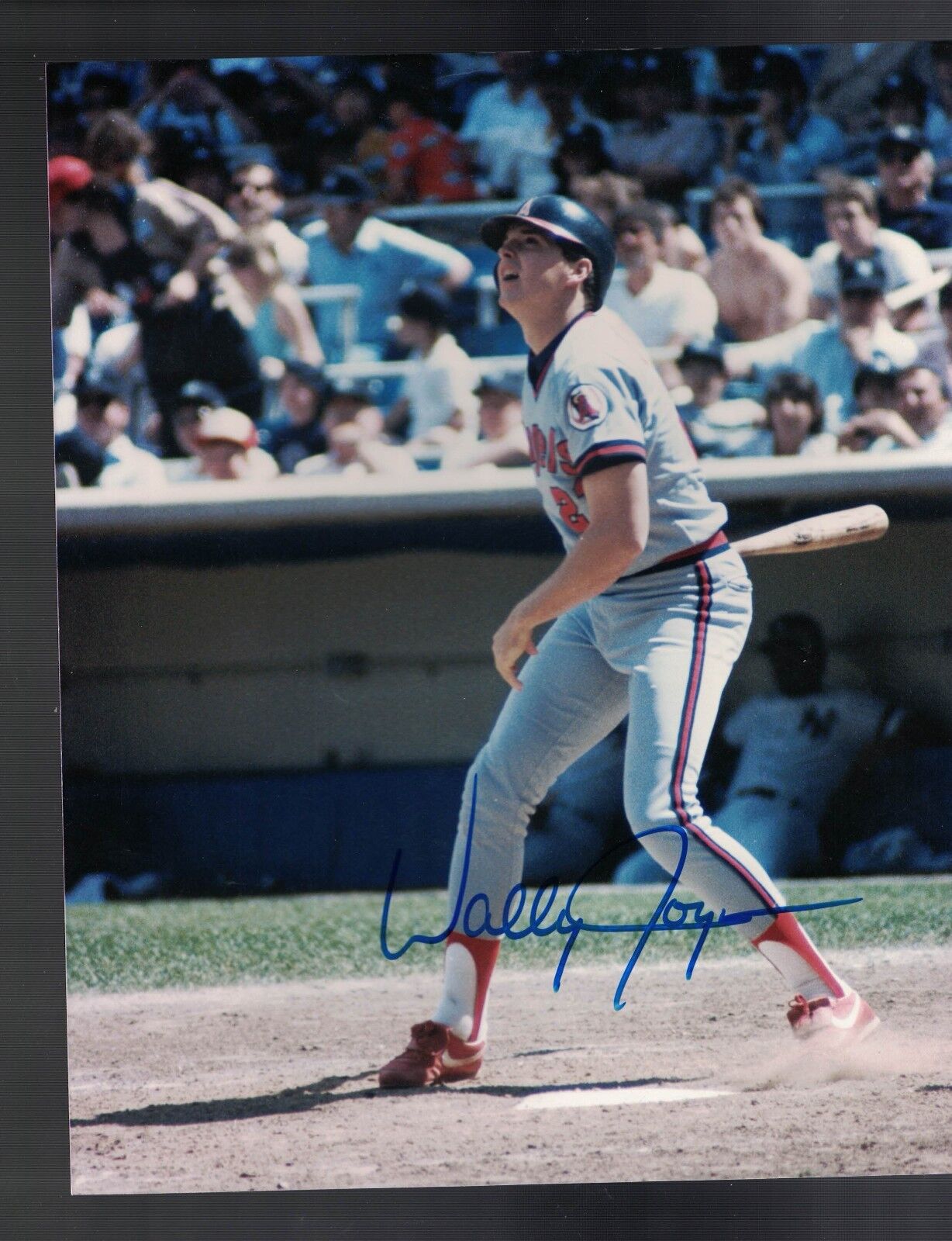 Wally Joyner California Angels Signed 8 x 10