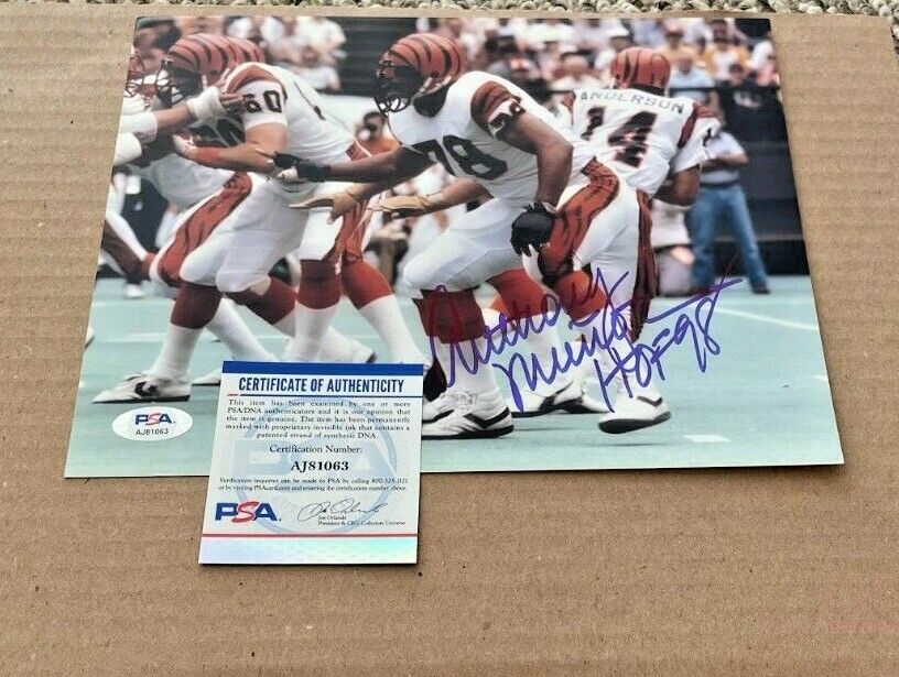 ANTHONY MUNOZ SIGNED CINCINNATI BENGALS 8X10 Photo Poster painting W/HOF98 PSA/DNA #2