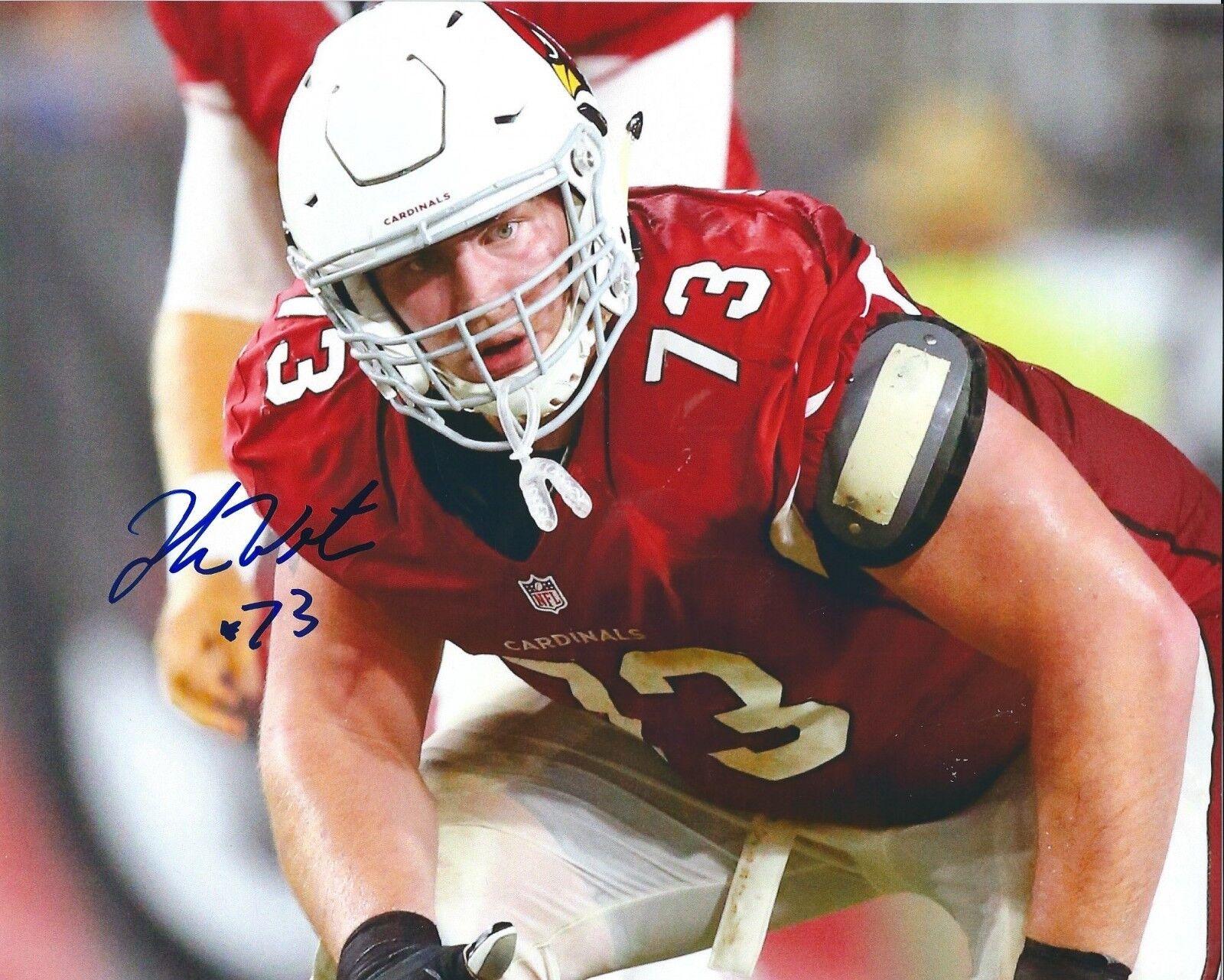 Autographed JOHN WETZEL Arizona Cardinals 8X10 Photo Poster painting - w/COA