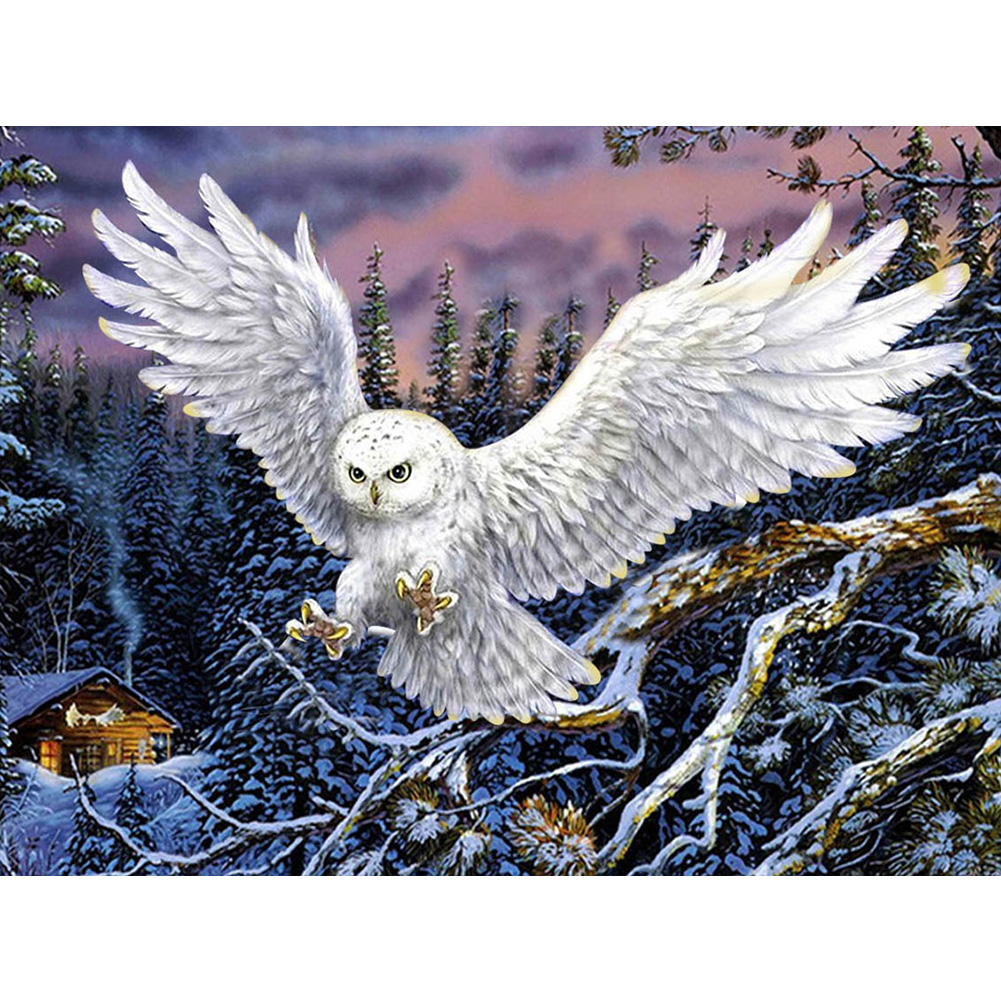 

Owl - Round Drill Diamond Painting - 40*30CM, Round diamond 40*30cm, 501 Original