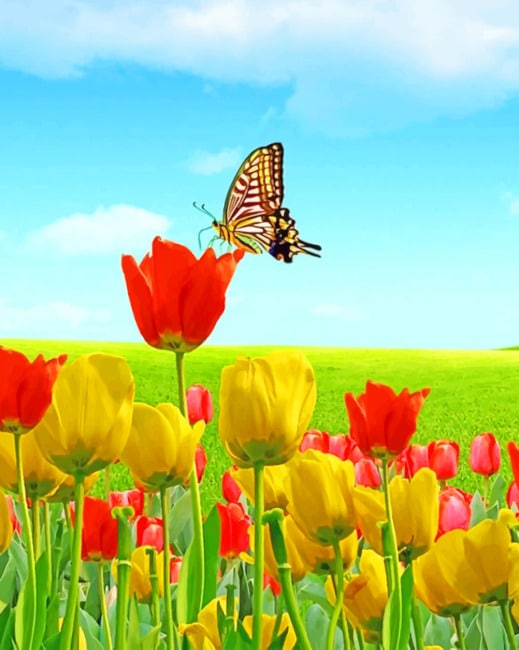 

Flowers And Butterfly – Nature Paint By Numbers - 40*50CM, 501 Original