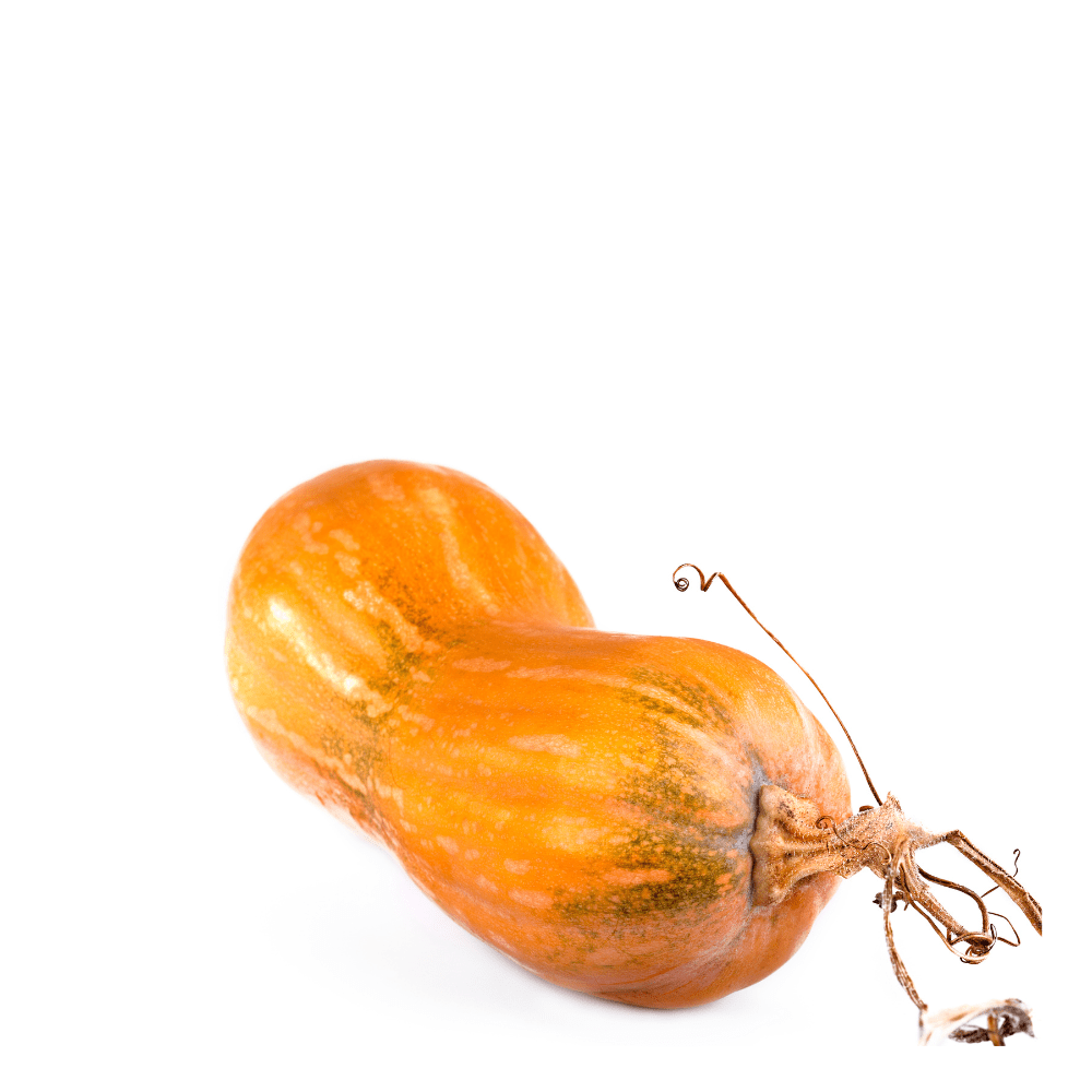 Pumpkin Spaghetti (Halwa Kadu) Seeds &ndash; Unique Texture, Low Carb & Delicious