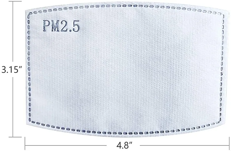 PM 2.5 Activated Carbon Filter Insert