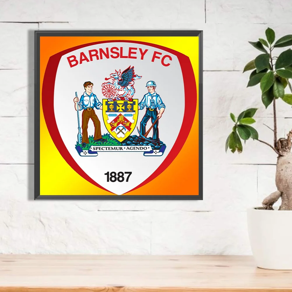 Partial AB Diamond Painting - Full Round Drill - Barnsley F.C.(Canvas|55*55cm)